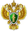Прием граждан участников СВО и членов их семей прокурором