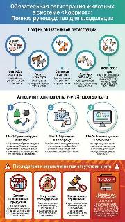 Хорриот. Порядок действий при регистрации