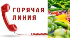«Горячая линия» Челябинского УФАС России, по вопросам изменения цен на социально значимые товары
