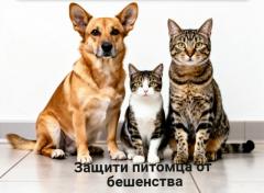 ВНИМАНИЕ!!! Бешенство у животных