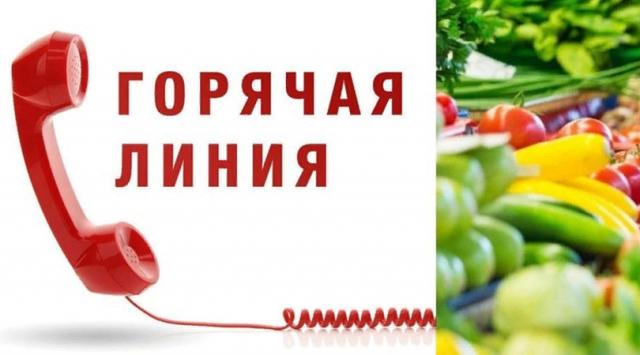 «Горячая линия» Челябинского УФАС России, по вопросам изменения цен на социально значимые товары